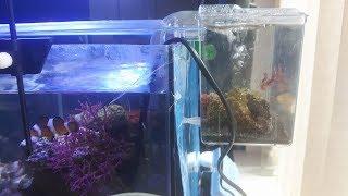 DIY hang on the back refugium
