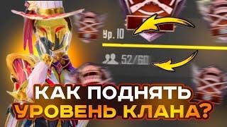 КАК БЫСТРО ПОДНЯТЬ УРОВЕНЬ КЛАНА В PUBG MOBILE?