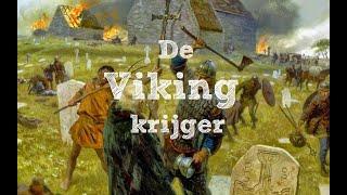 De Viking krijger