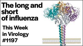 TWiV 1197: The long and short of influenza