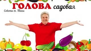 Голова садовая - Полив капусты, правильно!