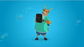 OX Walking