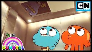 Nicht nach oben schauen! Gumball und Darwin sehen etwas, das zurückstarrt! | Cartoon Network