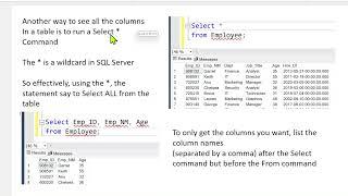 Database Development and Design: Intro to SQL Queries