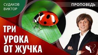 Виктор Судаков | Три урока от жучка | Проповедь