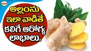 Benefits Of Ginger | Telugu Health Tips | Aarogya Sutra.