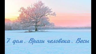 Седьмой дом и враги человека. 7-й дом в Весах. Образ врага - мастер подлизывать ж....