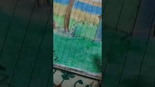 eye makeup old village YouTube short Instagram real Himanshu artist