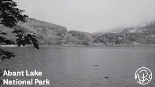 Nature Sounds and Snowy Scenery at Abant Lake National Park - 1 Hour Relaxation, Study, and Sleep