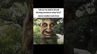 Wise Mystical Tree ~ Memes | #trending #shorts #memes #funny #wisemysticaltree