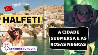 TURQUIA: HALFETI A CIDADE SUBMERSA E AS ROSAS NEGRAS