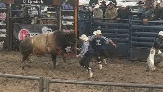 Diamond W. Bucking Bulls from Fayetteville Arkansas emerged the Bull Team Champion Friday during the