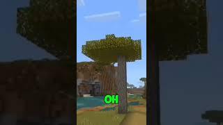 I didn't do that... Minecraft Meme #minecraft #shorts #memes #funny