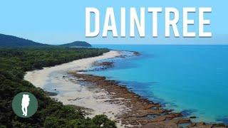 Daintree Rainforest, Tropical North Queensland, Australia Nature