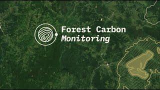 Forest Carbon Monitoring project