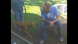 Dog Doesn't Recognize Owner After Weight Loss...Until He Sniffs Him