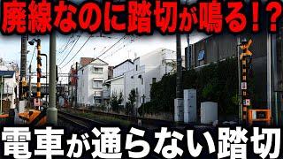 【こんなの見たことない！】列車が通らない珍踏切、日本の特別な踏切特集！