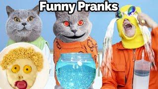 Try My Latest Prank To Unleash Weekend Joy!| Oscar‘s Funny World | New Funny Videos 2024