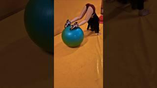 Exercises continued  #2025 #gym #exercise #body #dailyshorts #sports #fitness