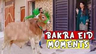 Bakra eid moments 2020 by Peshori vines