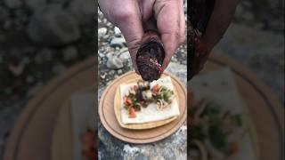 Patlıcan Sarma  - Eggplant Rolls in Nature #outdoorcooking #camping #food