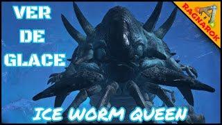 VER DE GLACE !! LE LABYRINTHE DE GLACE - ICE QUEEN LABYRINTH - Ark Survival Evolved Ragnarok