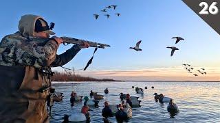 Solo DIVER DUCK HUNTING On Public Land (UNEXPECTED Mixed Bag)