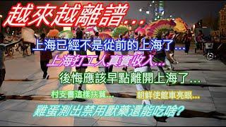 越來越離譜…上海已經不是從前的上海了…上海打工人真實收入…後悔了應該早點離開上海…村支書這樣扶貧…朝鮮使館車亮眼…雞蛋檢測出禁用獸藥還能吃啥？