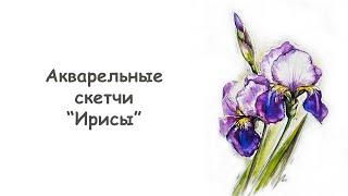 Как нарисовать Ирисы акварелью / Курс "Акварельные скетчи для начинающих" от more-art.ru