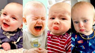 A MUST: Funniest And Cutest Baby EVER - Funny Babies Videos || Cool Peachy