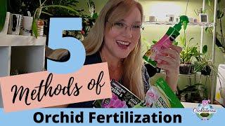 Stop Fertilizing Orchids Like This! Use These Other 4 Methods Instead