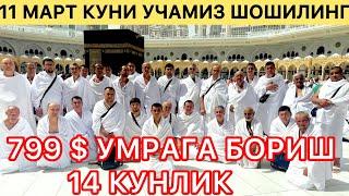 799 $ ГА УМРА НАРХИ 14 КУНЛИК#умра