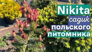 Прогулка по садику крупного польского питомникаСад хвойных