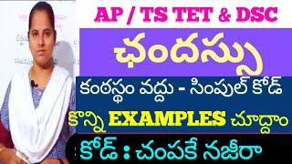 ఛందస్సు codes ganavibhajana telugu grammar utpalamala champakamala shardhulam chandassu vyakaranam