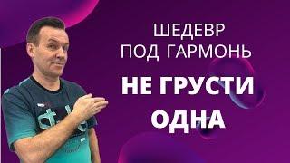 Шедевр под гармонь. Не грусти одна. Владимир Кузнецов. #шансон