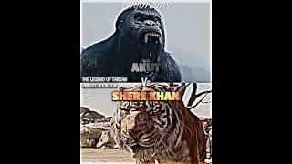 Shere Khan vs Akut #thelegendoftarzan #junglebook2016 #vsbattle #vsedit #wis #whoisstrongest #akut