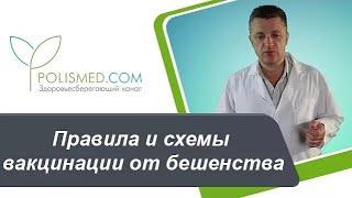 Правила и схемы вакцинации от бешенства. 40 уколов в живот от бешенства