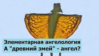 Элементарная ангелология. А змей - ангел?