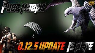 PUBG Mobile 0.12.5 Beta Version Out | Companion, New Avatars & More!