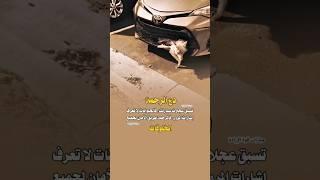 دع الرحمة تسبق عجلات سيارتك  عبارات قوة الإرادة