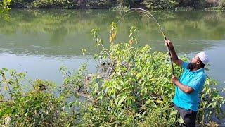 "Secrets of Catching Trophy Rohu ON A SINGLE HOOK:TRADITIONAL FLOAT FISHING TECHNIQUES FOR ROHUFISH