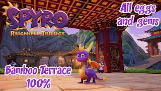 Spyro Reignited Trilogy: Year Of The Dragon [Bamboo Terrace 100%]