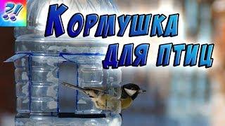 Кормушка для птиц из пластиковой бутылки. Bird feeders.