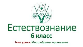 Естествознание 6 класс. Тема урока: "Многообразие живых организмов"