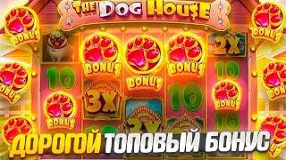 РИСКНУЛ И СДЕЛАЛ ALL IN В THE DOG HOUSE MULTIHOLD И .../ заносы недели