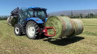 Double clamps in action carting Lucerne in Central Otago