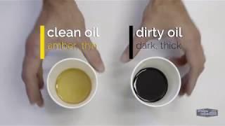 Monitoring Your Oil In A Honda | Quick Tip