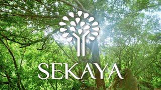 SEKAYA | Prescribing Nature