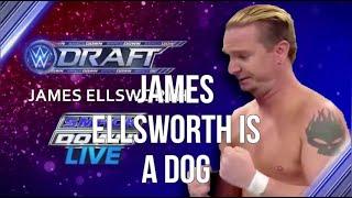 James Ellsworth Is A Dog