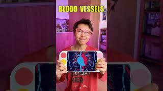  Amazing Body Secrets!  Discover What’s Inside You with Fun Facts!